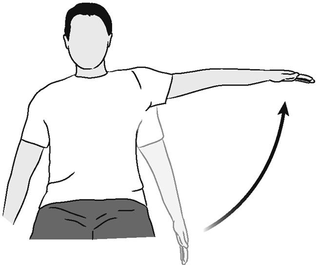 Illustration of houlder abduction (active)