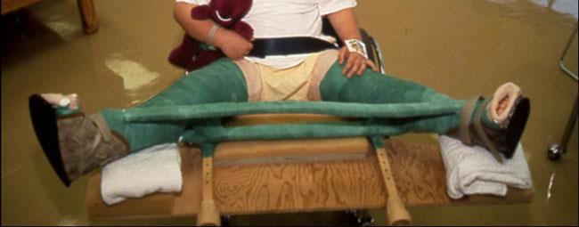 Petrie cast
