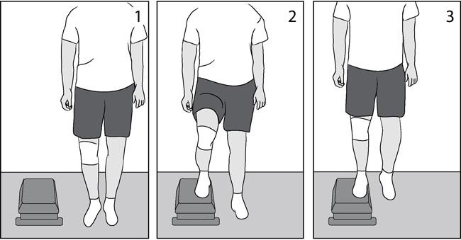 Step-ups, lateral