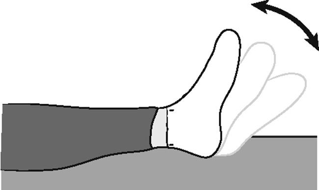 Ankle pumps