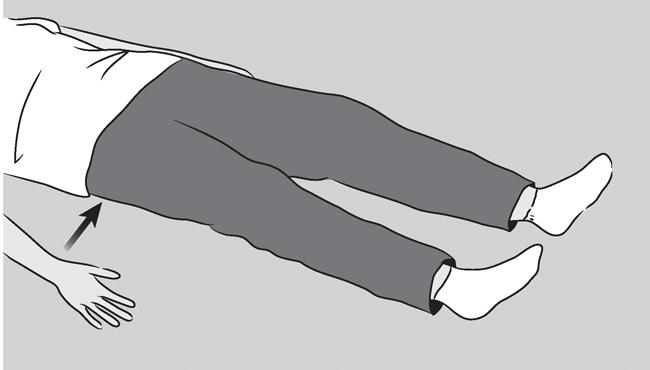 Illustration of buttock contractions
